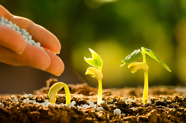 Gestión Ambiental y Desarrollo Sostenible