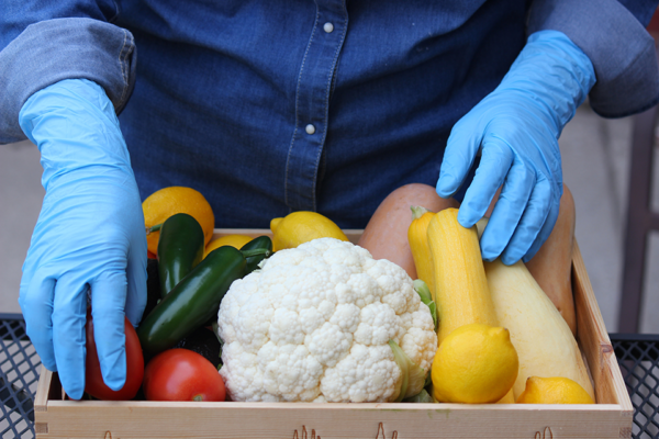 Manipulador de alimentos. Sector Actividades auxiliares en la Industria alimentaria. FCOM01